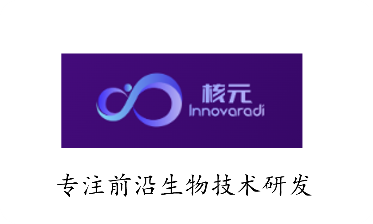 核元 Innovaradi - 专注前沿生物技术研发